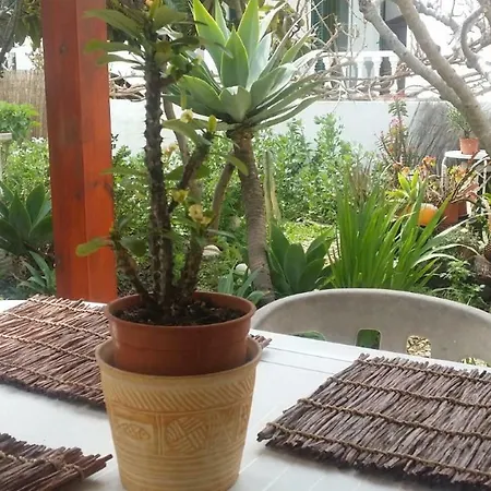 Lemon Tree Relaxing 3* Lagos