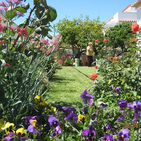 Lemon Tree Relaxing Lagos