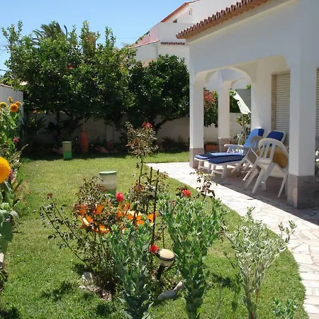 Lemon Tree Relaxing *