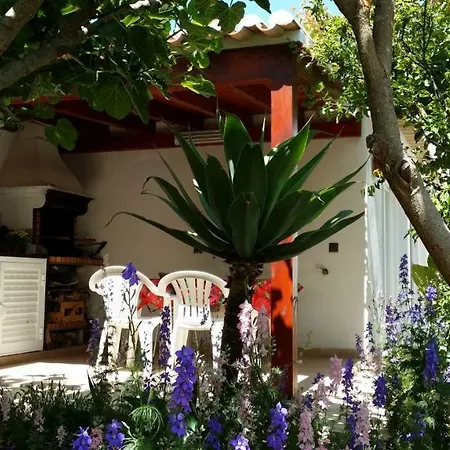 Lemon Tree Relaxing 3* Lagos