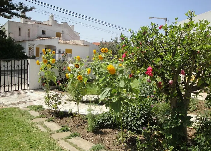Pensión Lemon Tree Relaxing Lagos