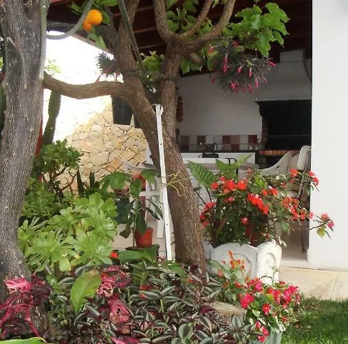 Lemon Tree Relaxing Pensión 3*