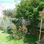 Lemon Tree Relaxing بيت ضيافة