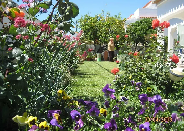 Lemon Tree Relaxing ラゴス