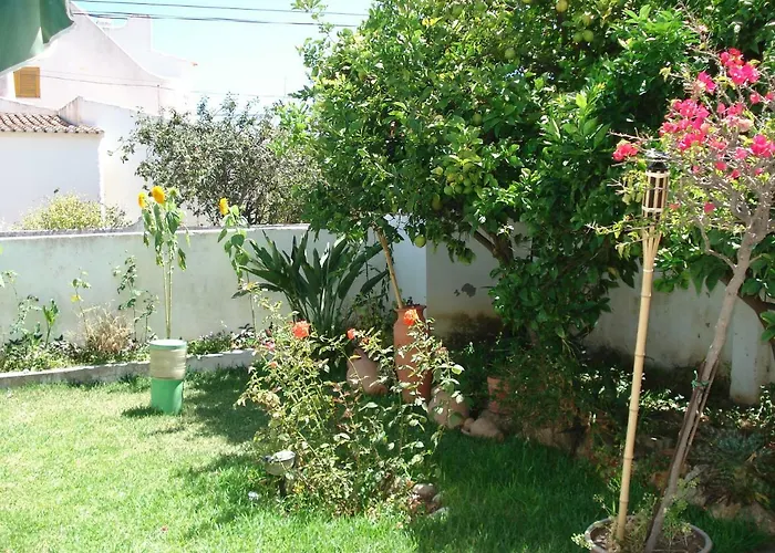 Lemon Tree Relaxing ゲストハウス